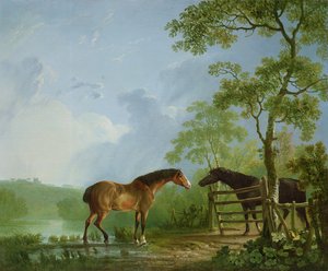 Mare and Stallion in a Landscape